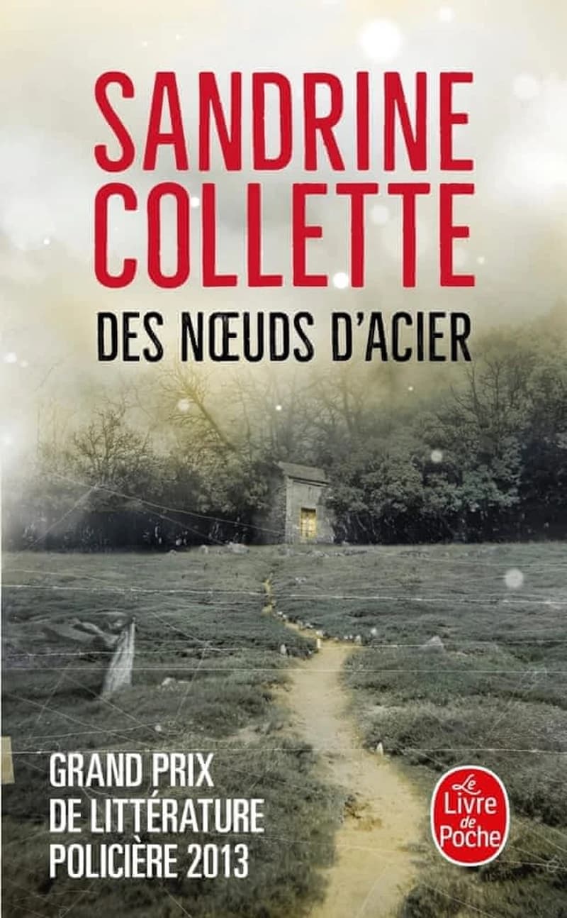 Des noeuds d'acier : roman