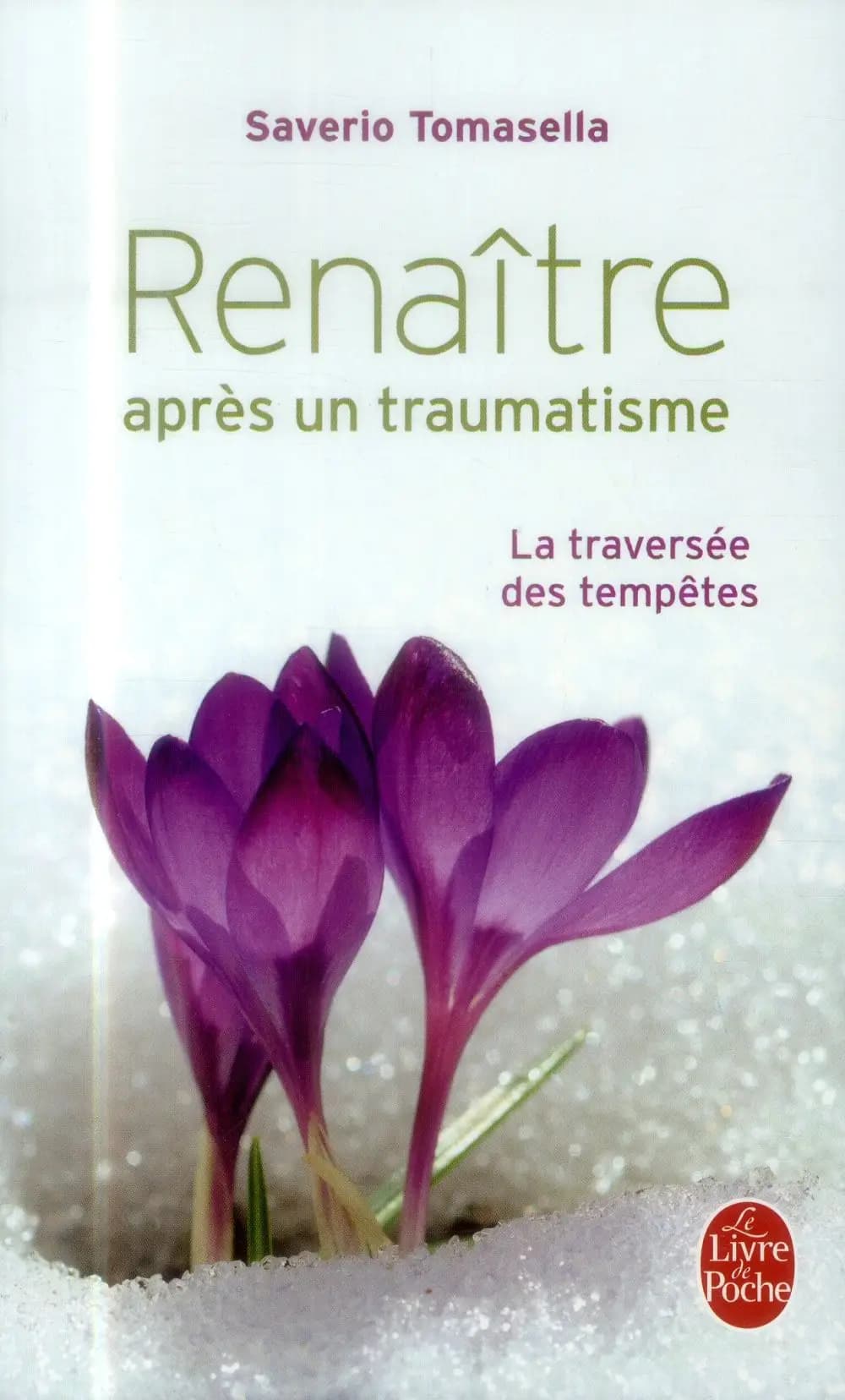 Renaître après un traumatisme : la traversée des tempêtes