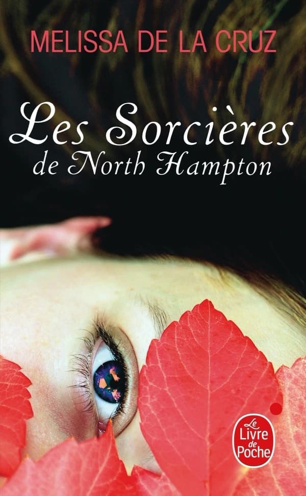 Les sorcières de North Hampton : roman