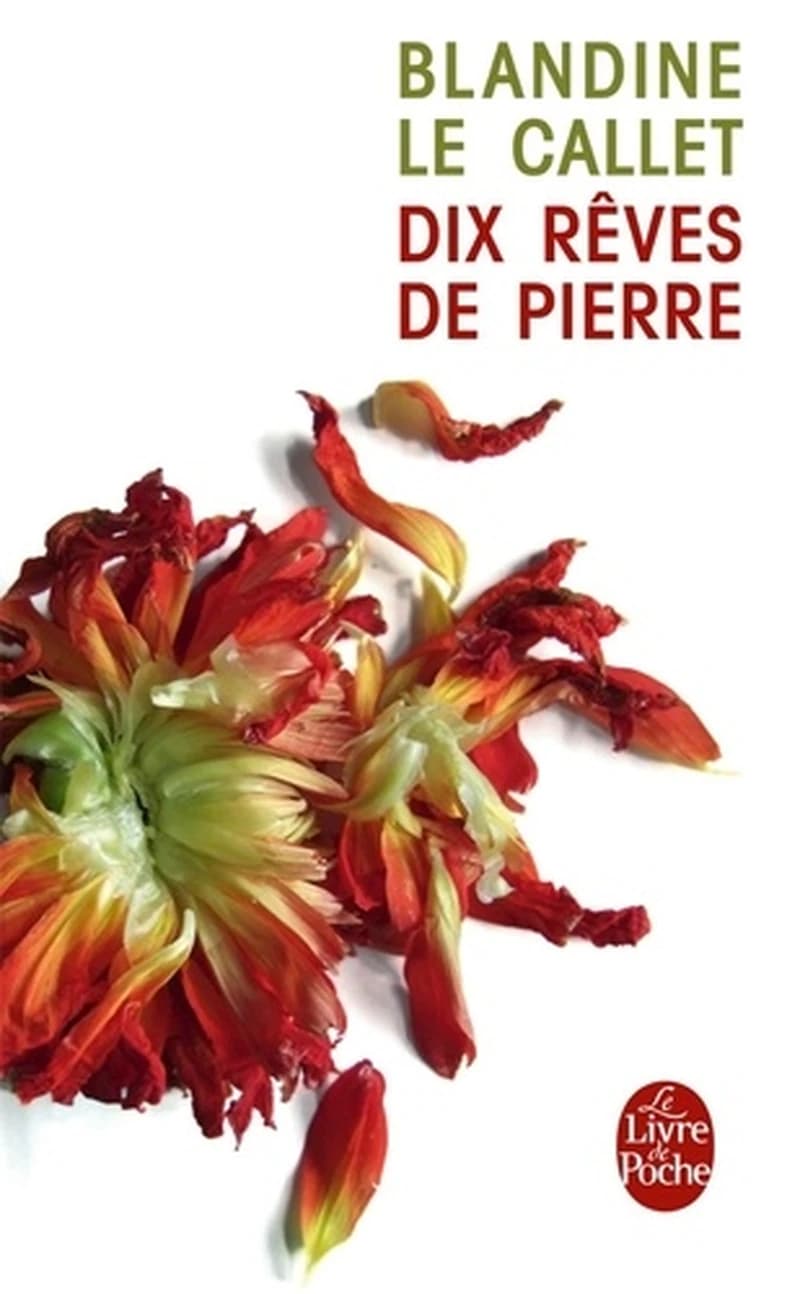 Dix rêves de pierre : nouvelles