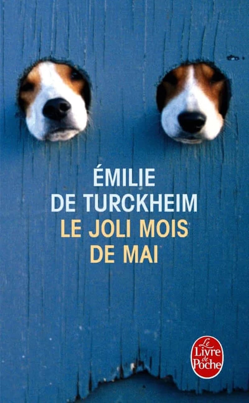 Le joli mois de mai : roman