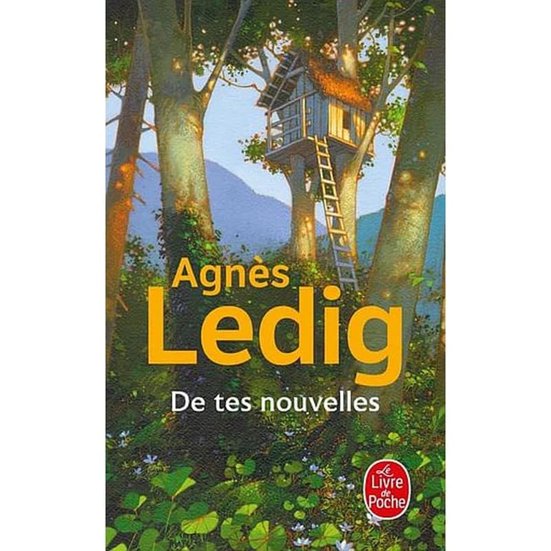 De tes nouvelles : roman