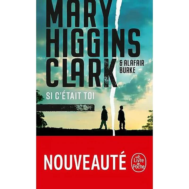 Si c'était toi : roman