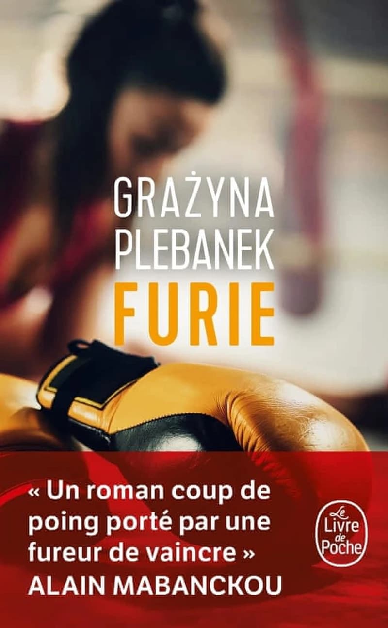 Furie : roman
