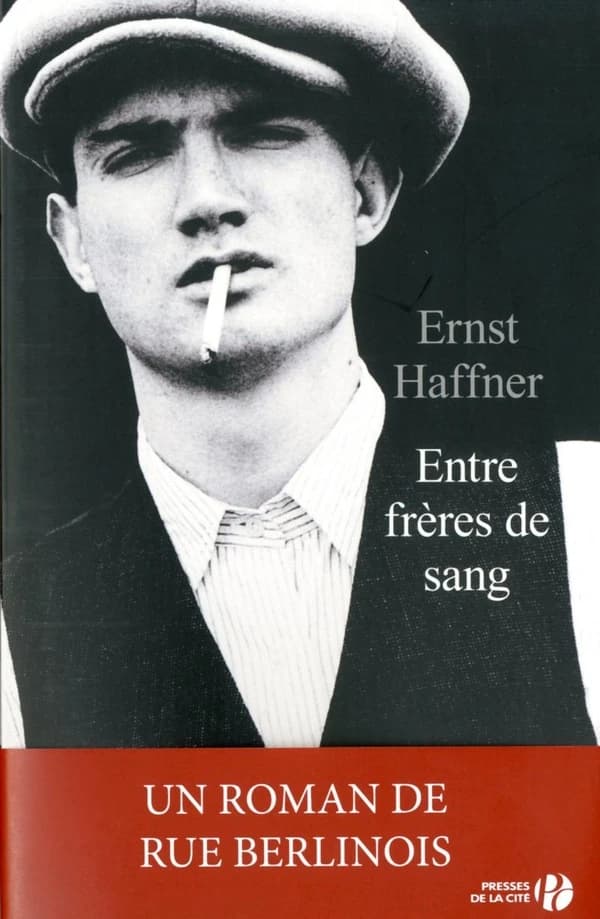 Entre frères de sang roman
