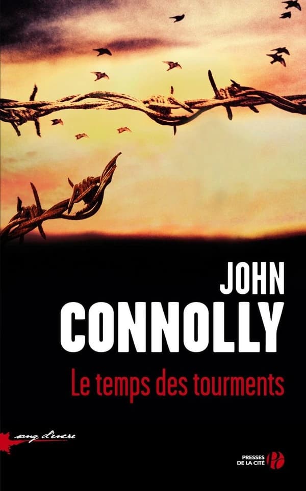 Le temps des tourments : roman