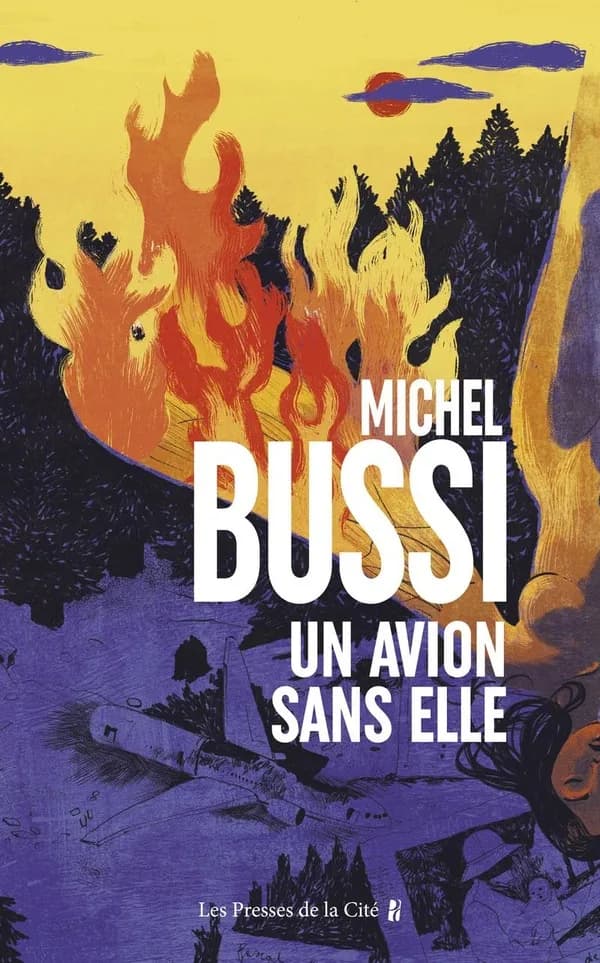 Un avion sans elle : roman