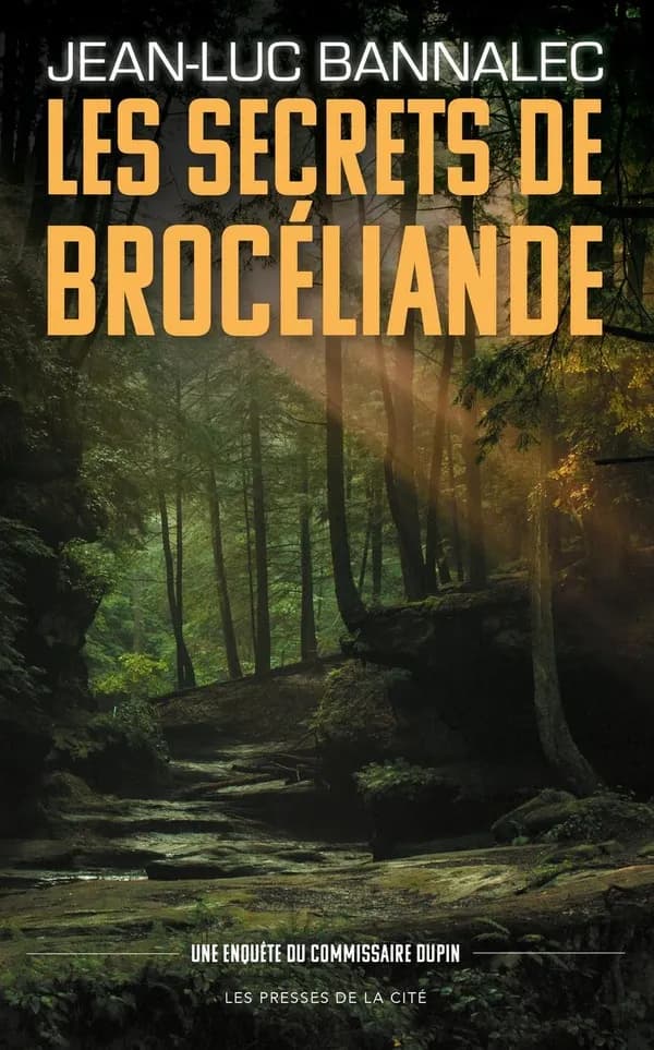 Les secrets de Brocéliande : roman