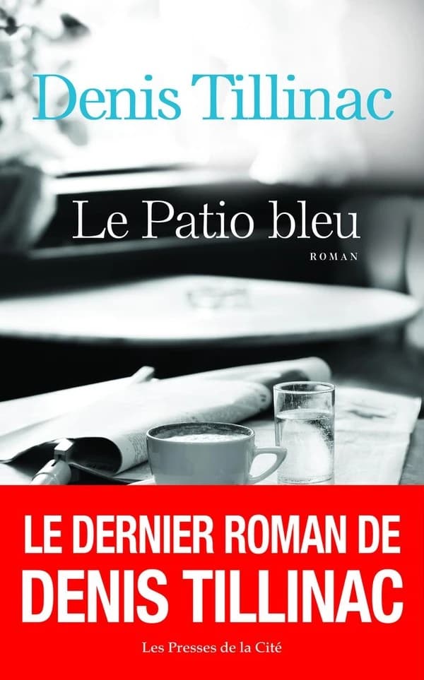 Le patio bleu : roman