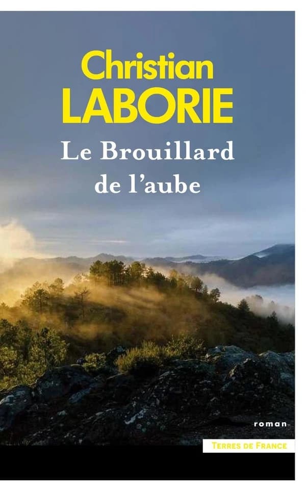 Le brouillard de l'aube : roman