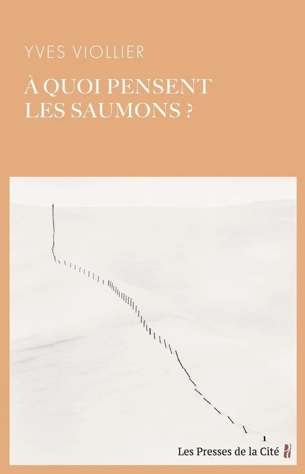 À quoi pensent les saumons ? : roman