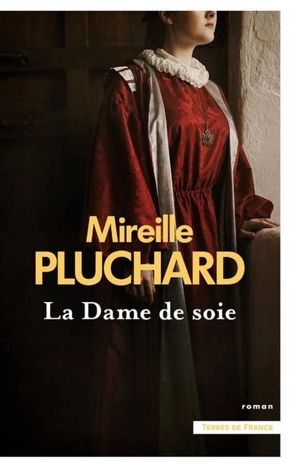 La dame de soie : roman