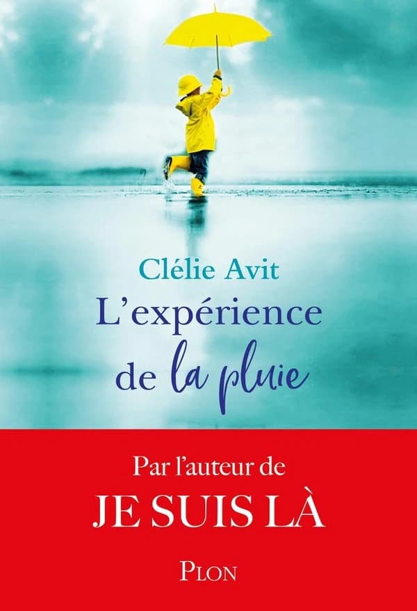 L'expérience de la pluie : roman