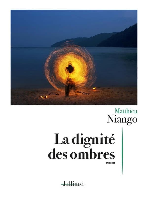 La dignité des ombres : roman