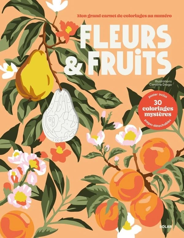 Mon grand carnet de coloriages au numéro : Fleurs & fruits