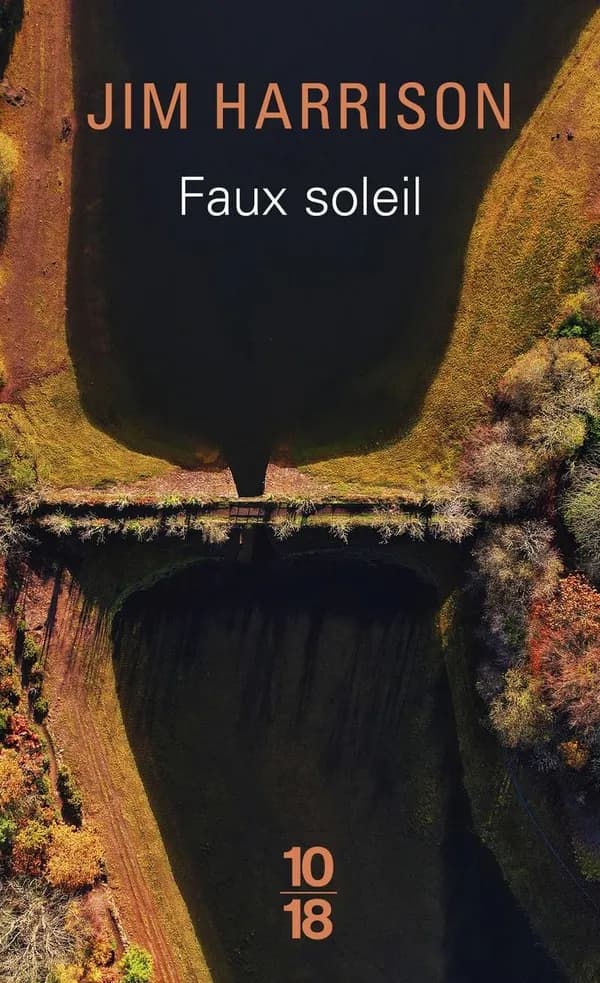 Faux soleil : l'histoire d'un chef d'équipe américain Robert Carvus Strang racontée à Jim Harrison
