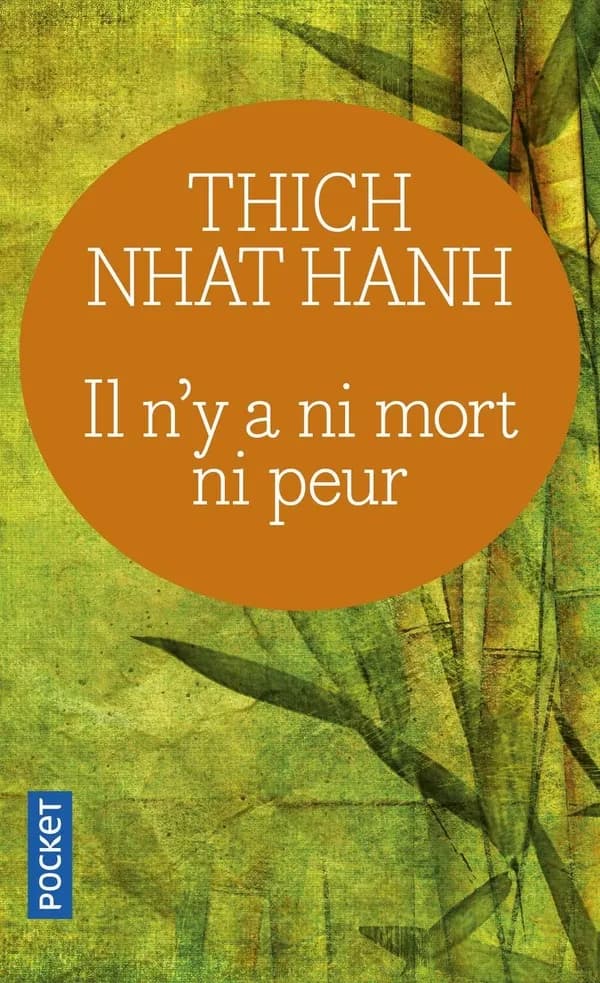 Il n'y a ni mort ni peur : une sagesse réconfortante pour la vie