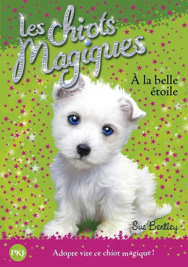À la belle étoile