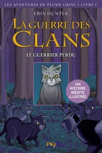 Le guerrier perdu