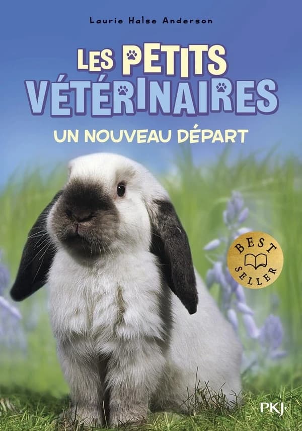 Un nouveau départ