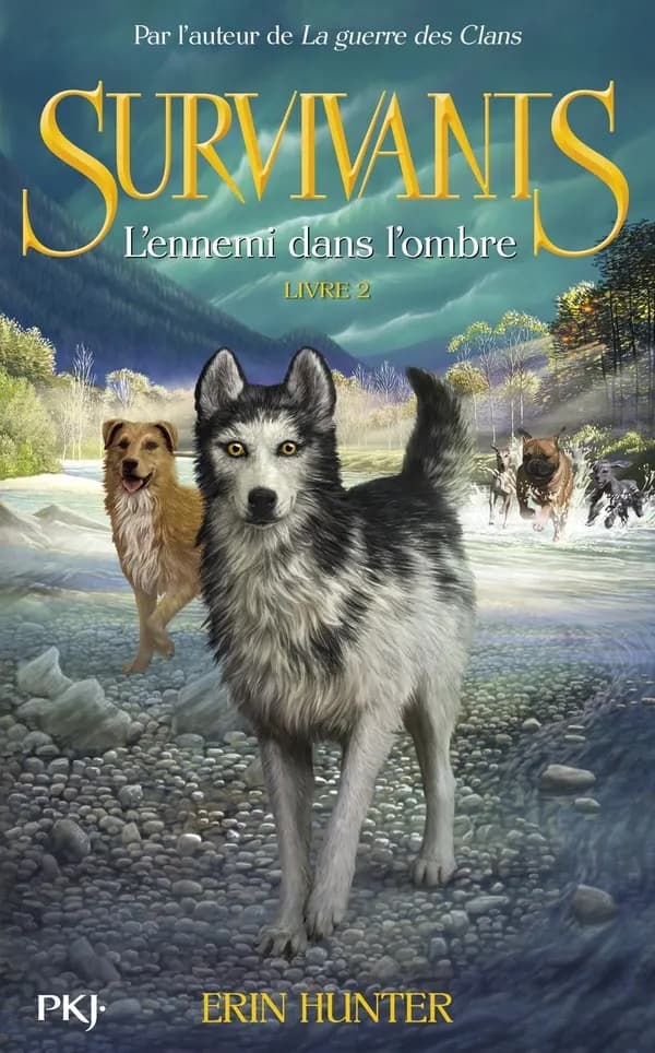 L'ennemi dans l'ombre