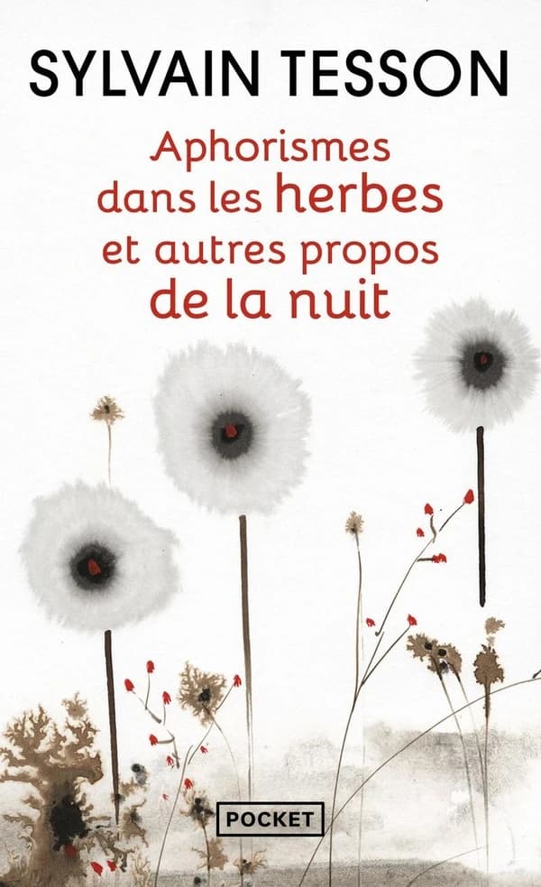 Aphorismes dans les herbes: Et autres propos de la nuit