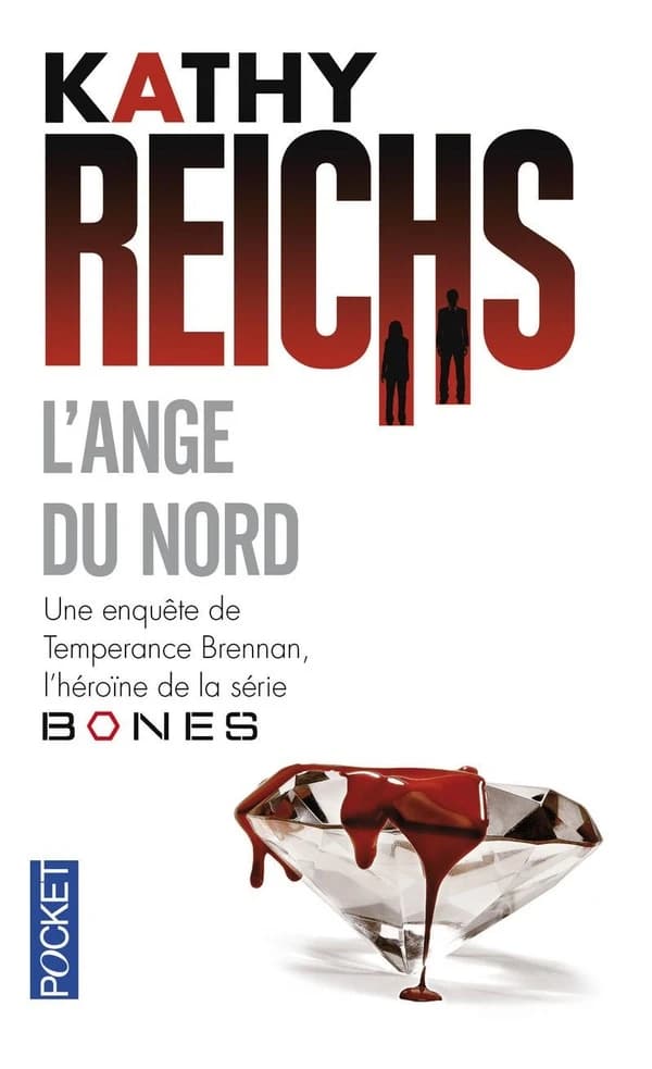 L'ange du Nord : roman