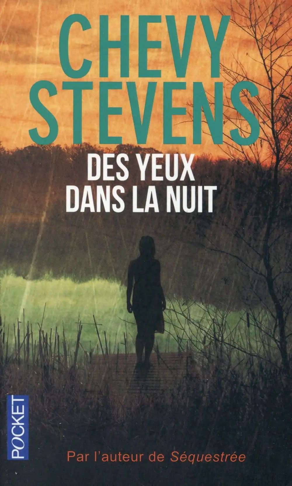 Des yeux dans la nuit