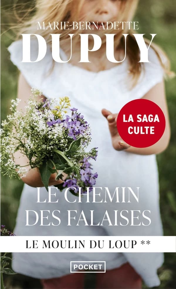 Le chemin des falaises