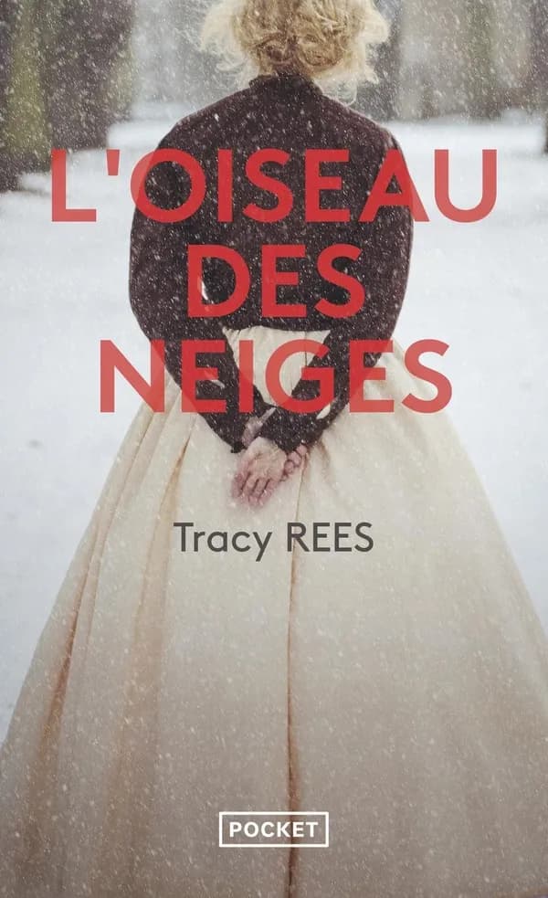 L'oiseau des neiges : roman