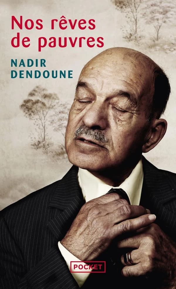 Nos rêves de pauvres (Éd. enrichie de chroniques inédites) Nadir Dendoune