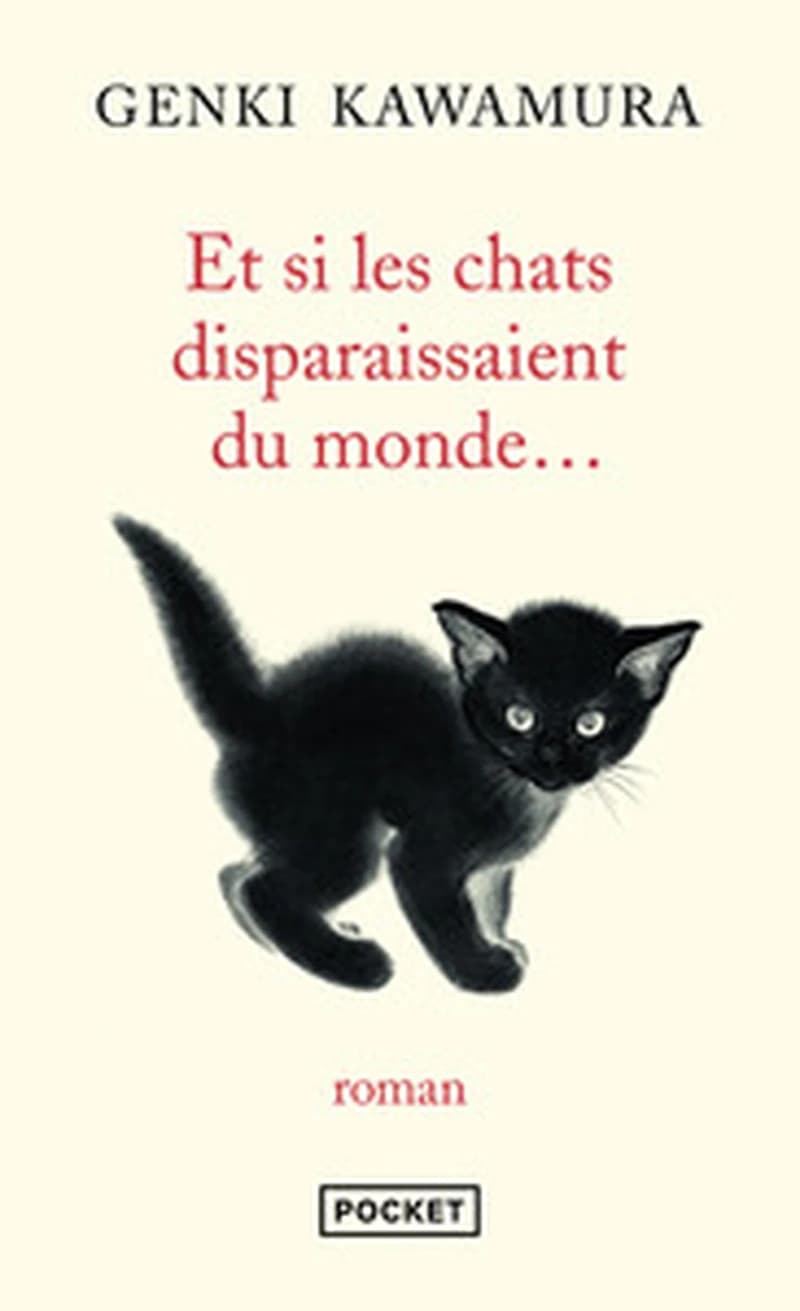 Et si les chats disparaissaient du monde
