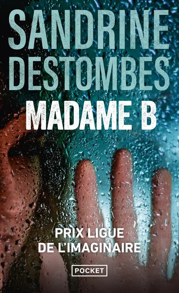 Madame B