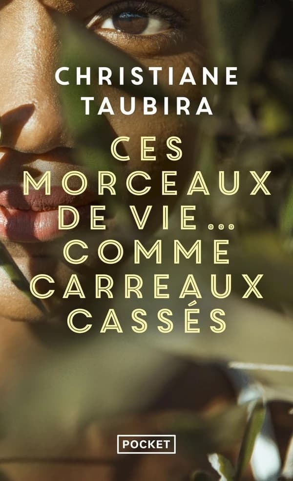 Ces morceaux de vie, comme carreaux cassés : nouvelles