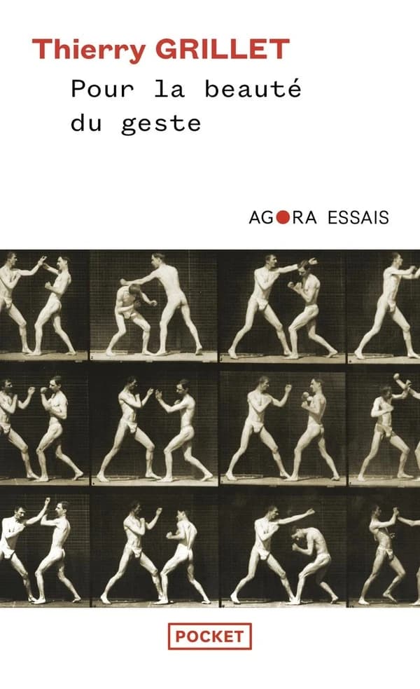 Pour la beauté du geste : essai