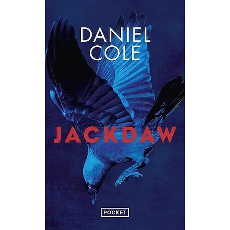 Jackdaw