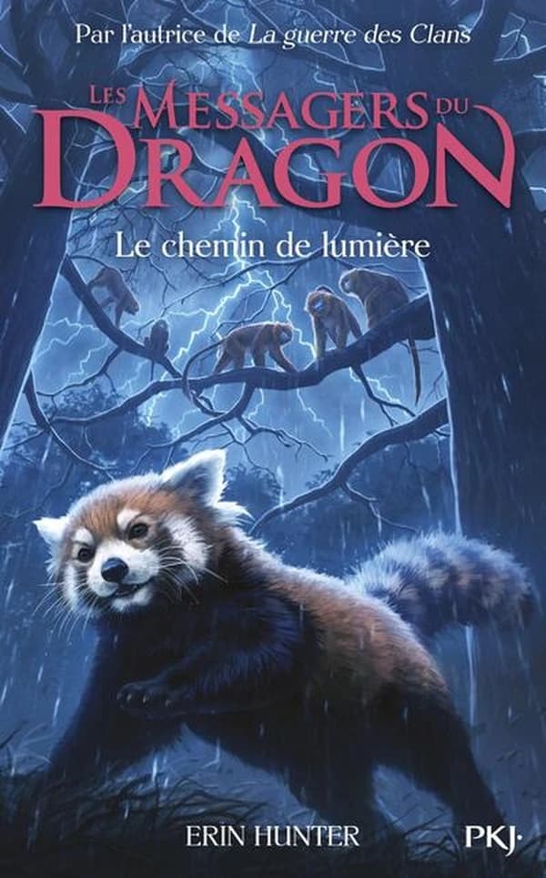 Le chemin de lumière
