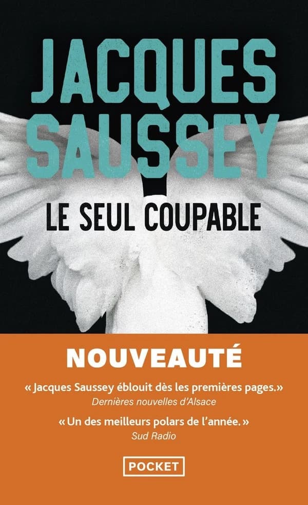 Le seul coupable
