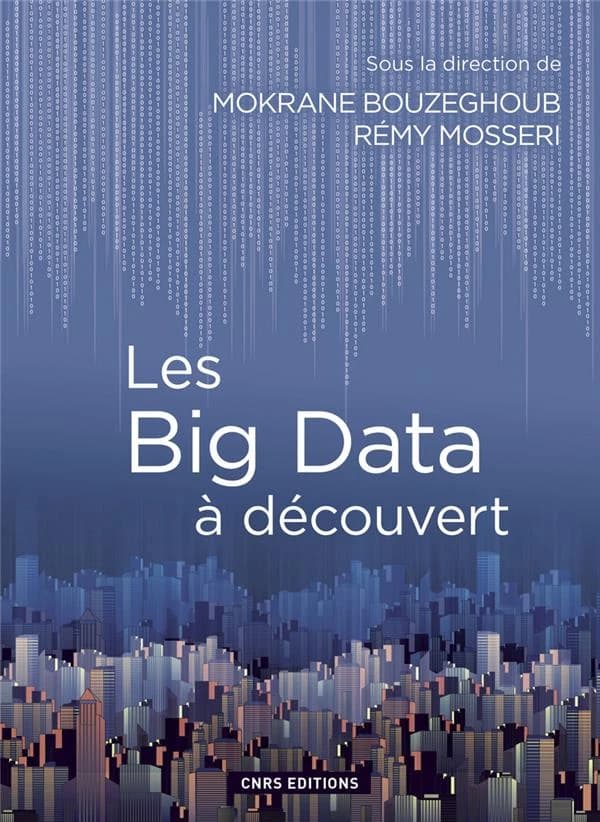 Les big data à découvert