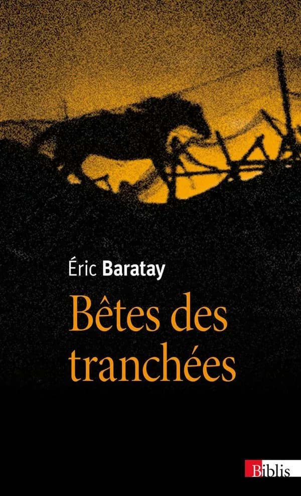 Bêtes des tranchées : des vécus oubliés