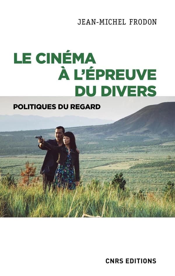 Le cinéma à l'épreuve du divers : politiques du regard