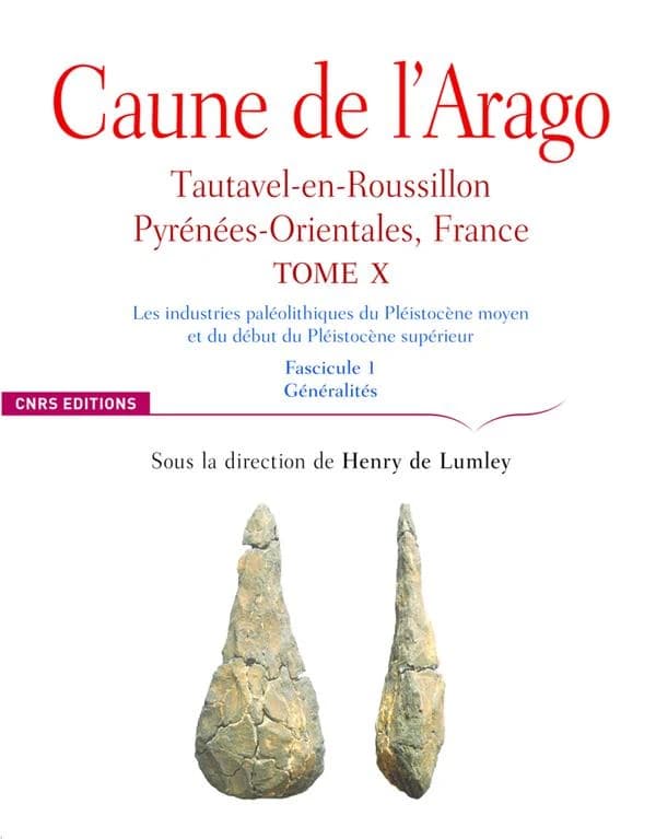 Les industries paléolithiques du Pléistocène moyen et du début du Pléistocène supérieur. Fascicule 1, Généralités