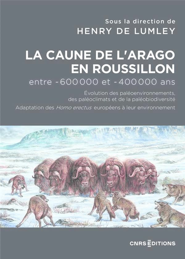 La Caune de l'Arago en Roussillon, entre -600000 et - 400000 ans : évolution des paléoenvironnements, des paléoclimats et de la paléodiversité : adaptation des Homo erectus européens à leur environnement