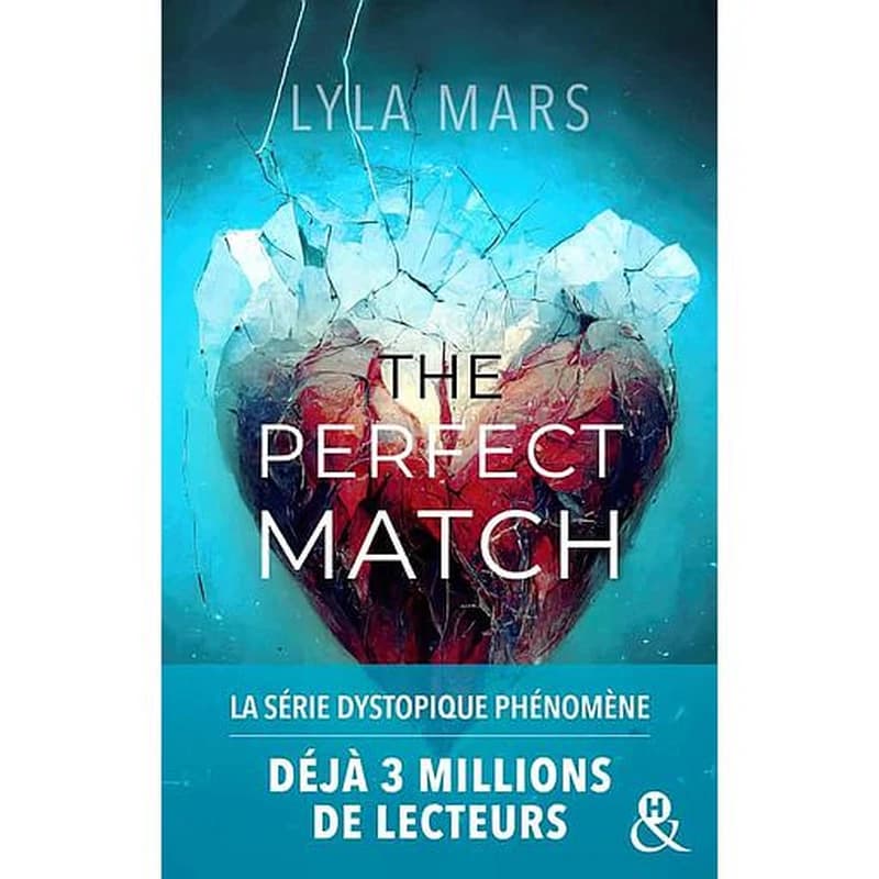 The perfect match : roman