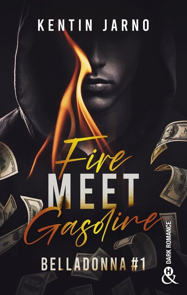 Fire meet gasoline : roman