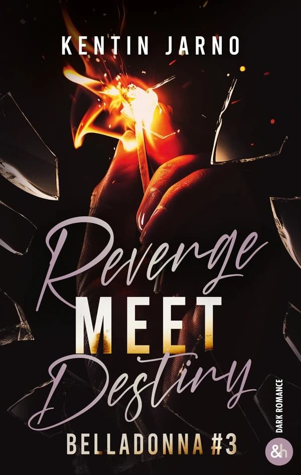 Revenge meet destiny : roman