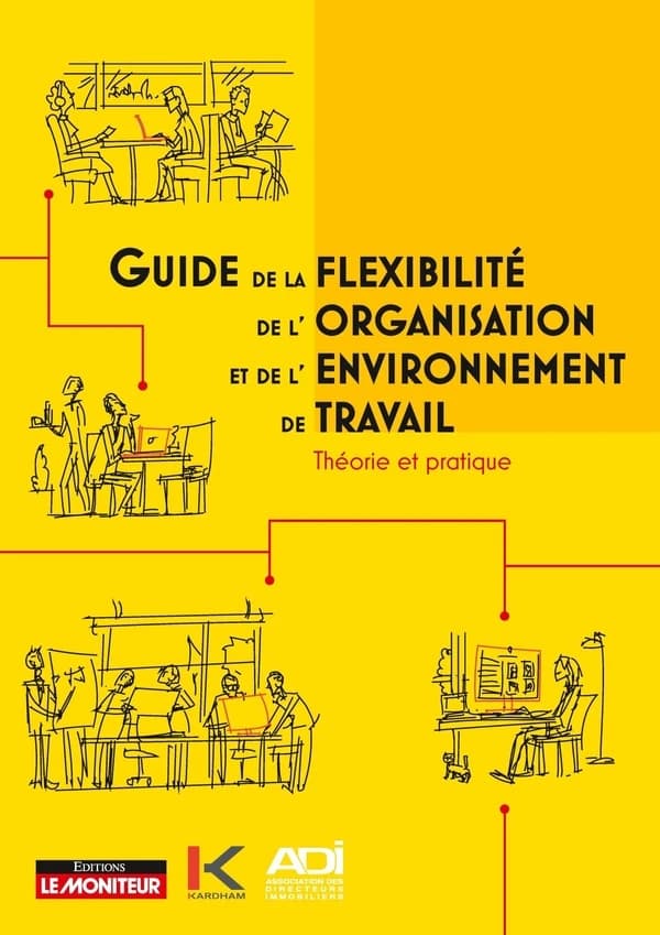 Guide de la flexibilité, de l'organisation et de l'environnement de travail : théorie et pratique
