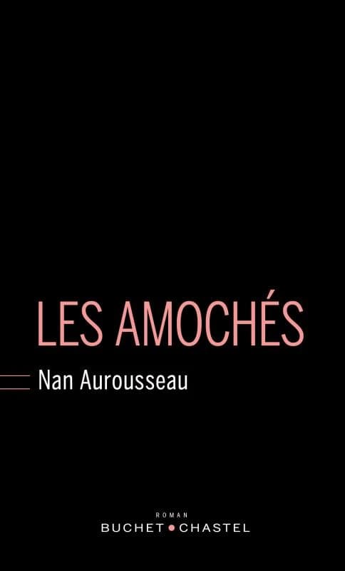 Les amochés : roman