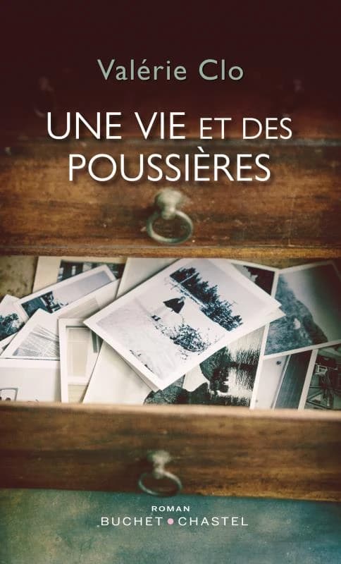 Une vie et des poussières : roman