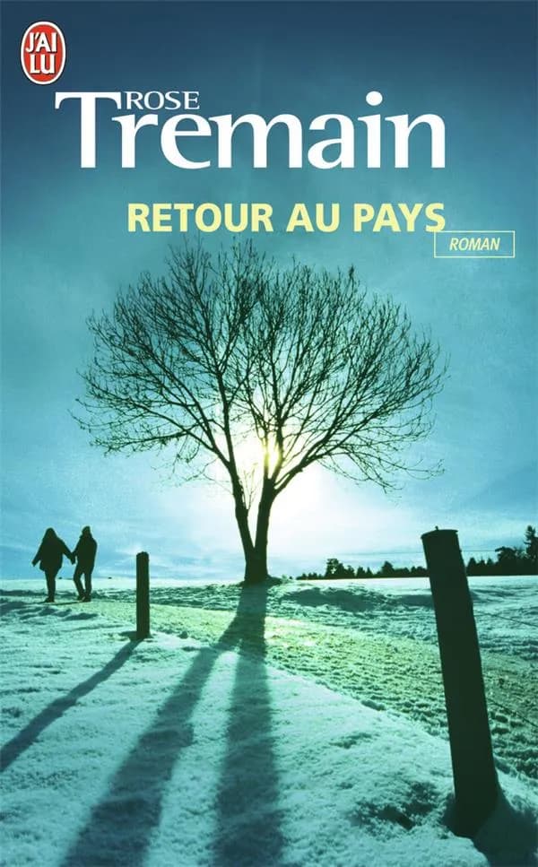 Retour au pays : roman
